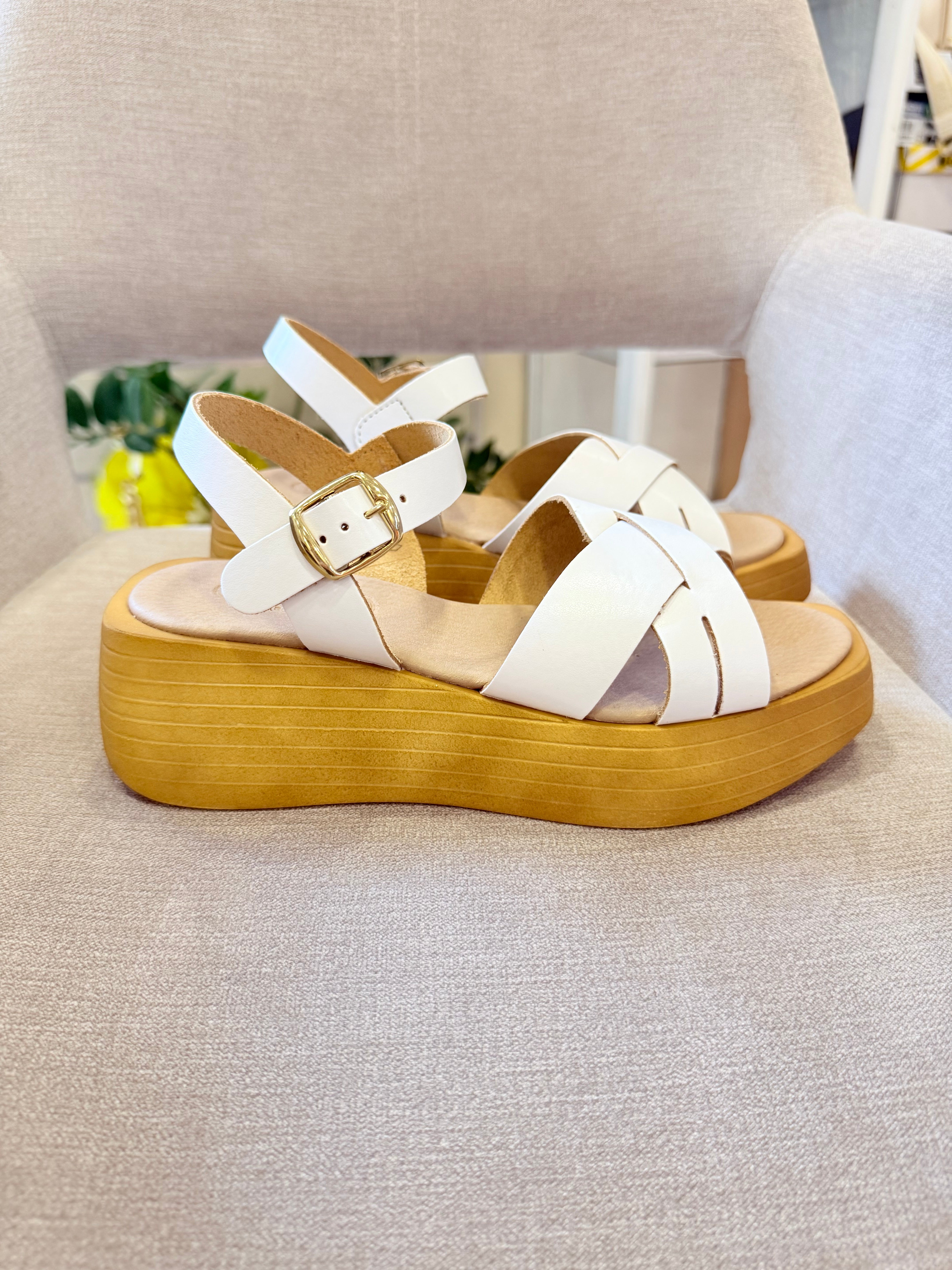 ESTRODONNA 1109-3782