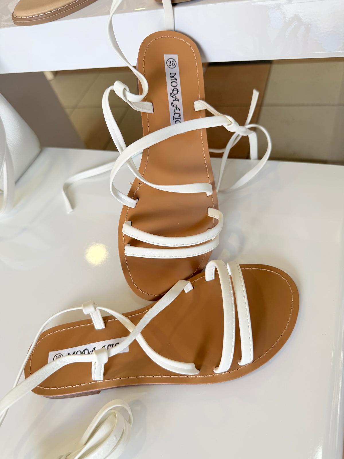 SHOES E ALICE W366