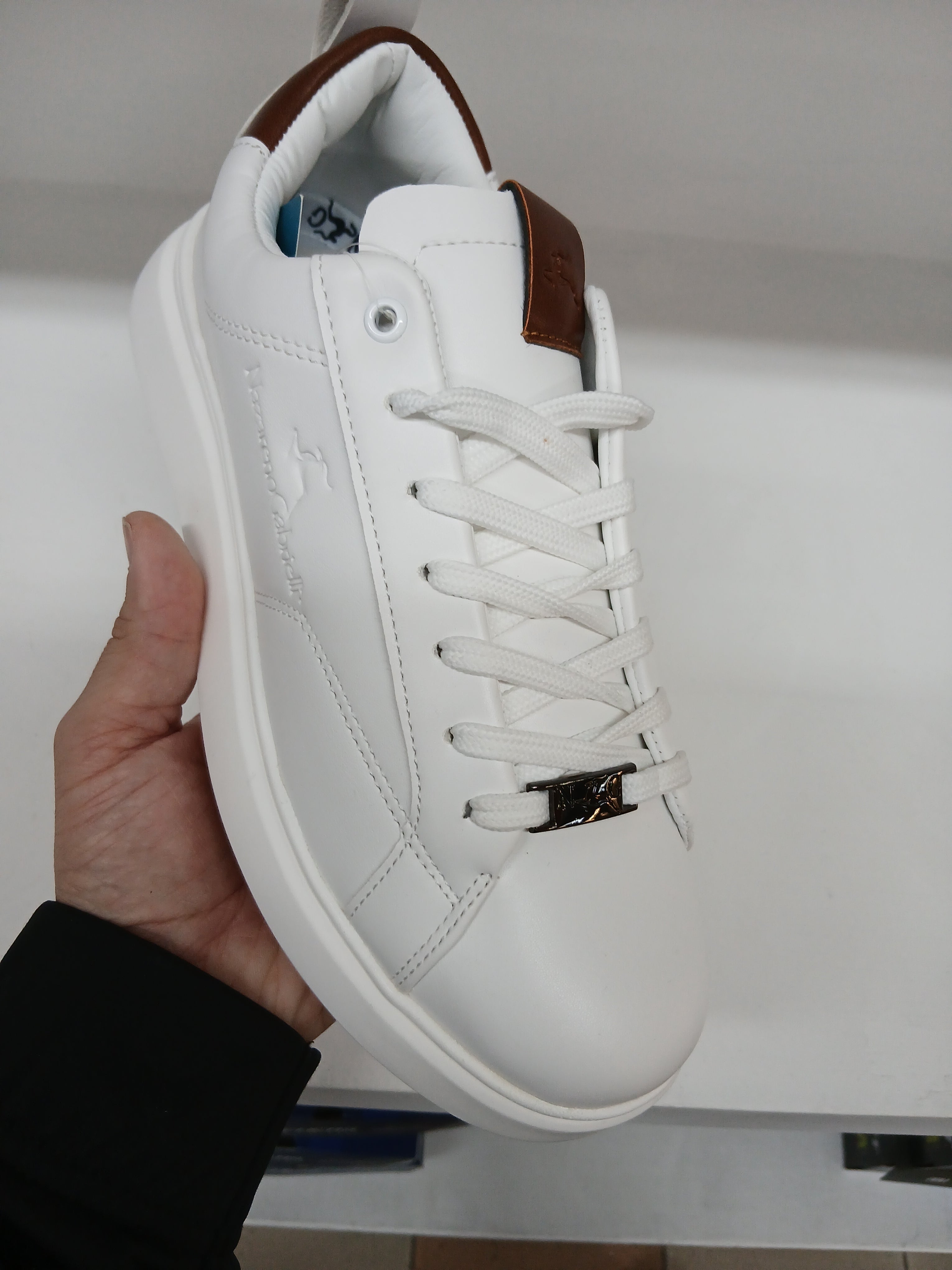 Nazzareno Gabrielli 3101